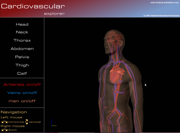 Establishing 3D model accuracy